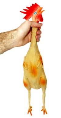 20060216230214-rubber-chicken.jpg